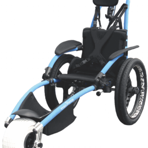 hippocampe plage tout terrain